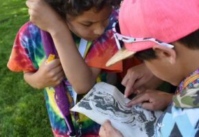 DSC_0033 (2) Large